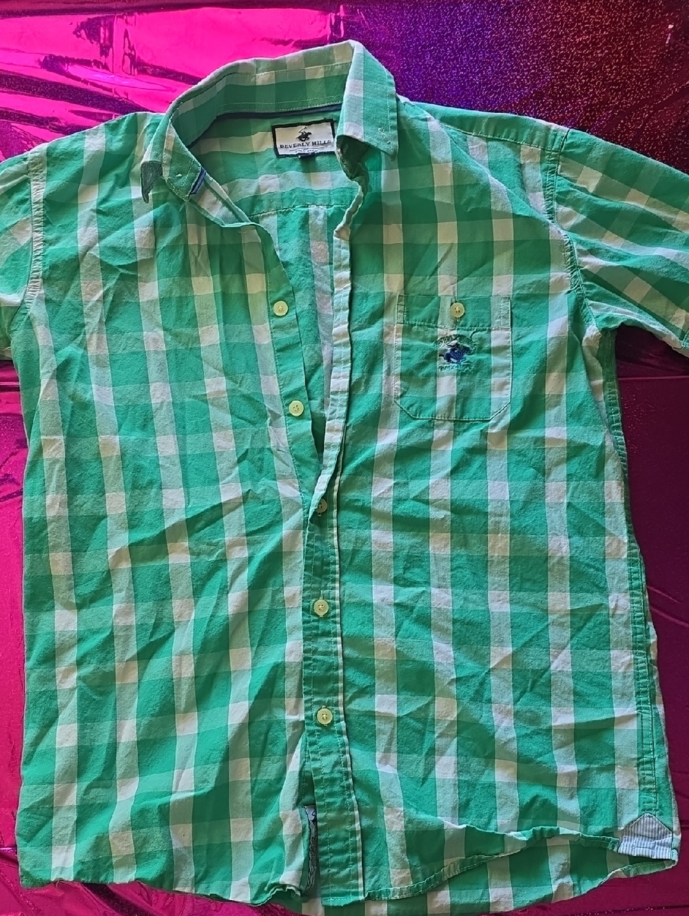 Beverly Hills Polo Club Green and White Check Casual Button-Down Shirt